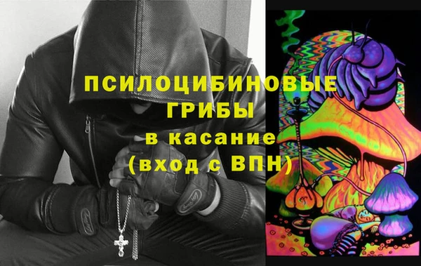 марки lsd Гусиноозёрск