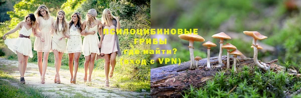 метадон Гусь-Хрустальный