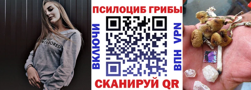 Псилоцибиновые грибы ЛСД Купить где Ковылкино